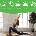 BACKLAxx® Kork Yogamatte mit Naturkautschuk Nachhaltige Yogamatte rutschfest schadstofffrei mit Anti-Rutsch-Zonen Inkl. Mattengurt und Anwendungsvideos