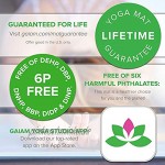 Gaiam Yogamatte Premium-Druck rutschfest für alle Arten von Yoga Pilates und Bodentraining Aubergine Point 5 mm