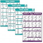 Palace Learning 4 Pack: Yoga Posen Poster Volume 1 2 & 3 + Yoga Ball Übung Workout Chart