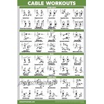 Palace Learning 4 Stück – Hanteltraining Poster Volume 1 2 & 3 + Kabel Workouts Übungstabelle – Set mit 4 Postern