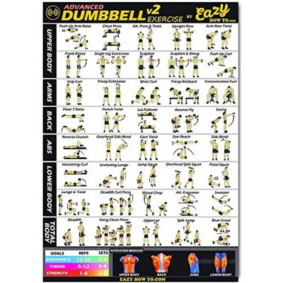 Poster mit Hantel-Übung 51 x 73 cm Trainieren Sie Ausdauer Muskelaufbau und Muskelaufbau