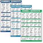 QuickFit Hanteltraining + Körpergewicht-Übungen + Langhantelroutine-Poster Set – Set mit 3 Workout-Diagrammen.