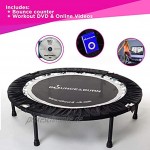Maximus Bounce & Burn Faltbares Indoor Trampolin für Jumping Fitness I Mit Haltestange für Erwachsene | Inklusive mini-trampolin DVD Workouts