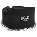 Hawk Fitness Gewichtheber-Dipping-Gürtel mit Ketten Dip Gürtel Pull Up Belt Training Bodybuilding Crossfit Schwarz