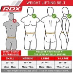 RDX Herren Neopren Fitness Gewichthebergürtel Gürtel Für Gewichtheber