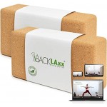 BACKLAxx® Yoga Block aus Kork 100% Natur Yogaklotz nachhaltig Yogablock hautfreundlich und ökologisch hergestellt inkl. Anwendungsvideos