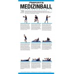 MSPORTS Übungsposter ca. 44 x 21 cm | 9 Übungen | für Hanteltraining | Faszientraining | Kettlebell | Gewichtsmanschetten | Gymnastikmatten | Medizinball und vieles mehr | Functional Fitness Poster