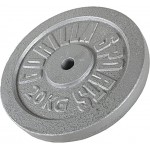 GORILLA SPORTS® Hantelscheibe Einzeln Set Gusseisen 1,25-30 kg Gewichte mit 30 31 mm Bohrung in Silber Schwarz Gold