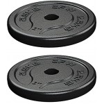 Iron Foundry Weights IFW Hantelscheiben Gusseisen 2 x 2,5 kg für Standard-Hantelstangen mit 25 mm Durchmesser