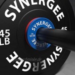 Synergee Gummierte Bruchplatten und Wechselscheiben 0,125 kg 0,25 kg 0,5 kg 1,0 kg 1,5 kg 2,0 kg und 2,5 kg Set Stufengewichte Mikrogewichte für Powerlifting und Olympisches Heben