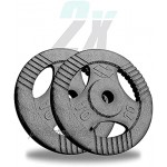 Xylo 20 kg Guss Hantelscheiben 2x10 kg 30 31mm Eisen Gewichte für Hantel Homegym Gewichtsscheiben Hanteltraining Hanteln Set Grau Krafttraining lackiert