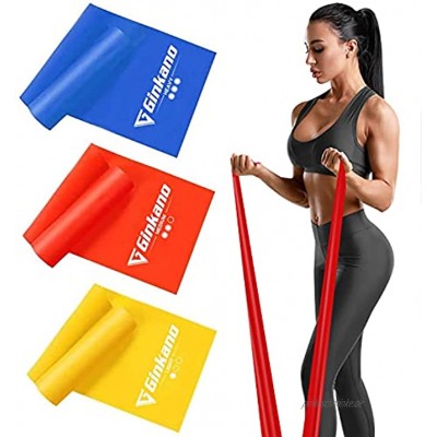 Haquno Resistance Bands Set [Set of 3] Skin-Friendly Exercise Bands with 3 Resistance Levels,Workout Resistance Bands Set for Women Men,Ideal for Strength Training,Yoga,Pilates,Fitness