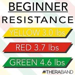 TheraBand Professionelle Latex-Widerstandsbänder für Oberkörper Unterkörper und Rumpfübungen Physiotherapie Pilates Heimtraining und Reha
