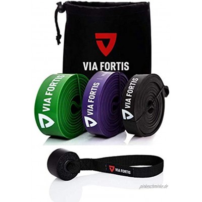 VIA FORTIS Premium Resistance Bands + Übungsanleitung und Tasche Widerstandsbänder Klimmzugband und Klimmzughilfe Fitnessband Trainings-Bänder für Fitness & Krafttraining