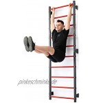 Marbo Sport Set MHU1 | Sprossenwand zur Wandmontage 230 x 81 cm MH-U204 + Multifunctional wallmounted dip-Station with Pull-up bar 2in1 MH-U205 | Made in EU