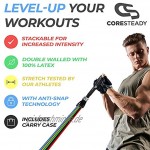 Coresteady Widerstandsbänder Set | 5 Premium Fitnessbänder | Trainingsbänder für Crossfit | Übung zum Strecken und Bewegen | Männer & Frauen