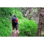 TETON Sports Ultralight Plus Rucksäcke; Leichter Wanderrucksack für Camping Jagd Reisen und Outdoor-Sportarten